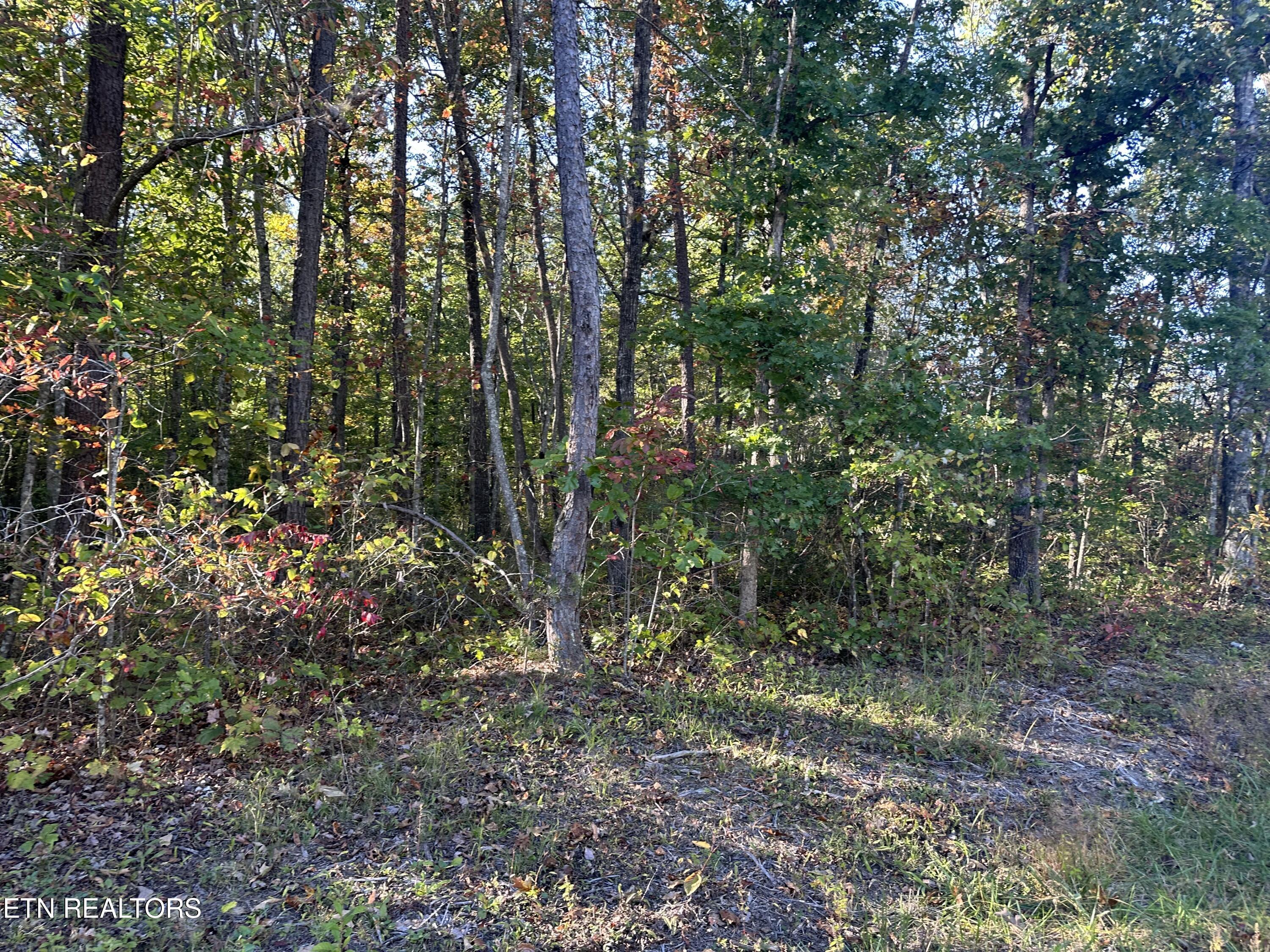Falling Waters Property Photo 19