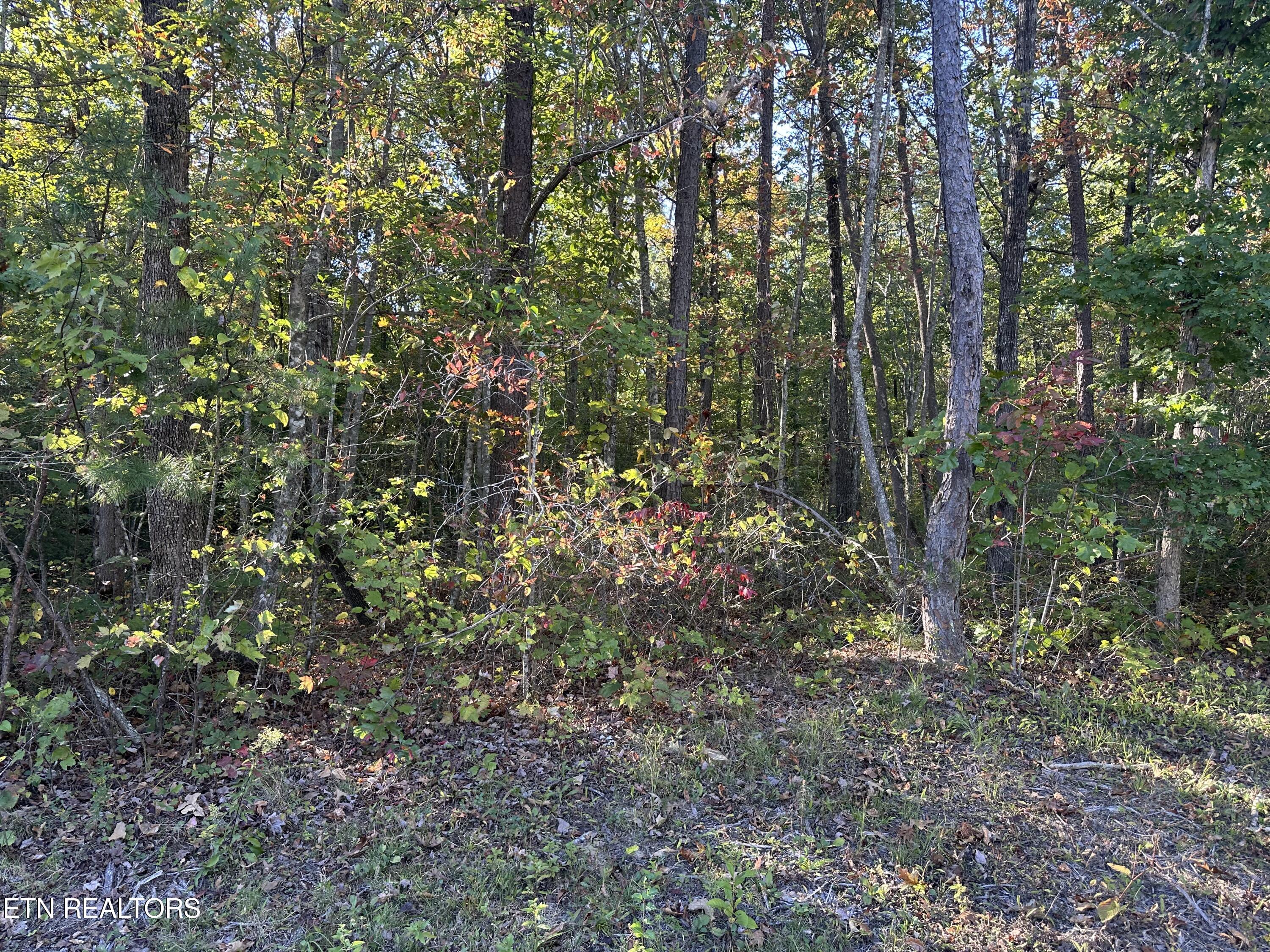 Falling Waters Property Photo 22