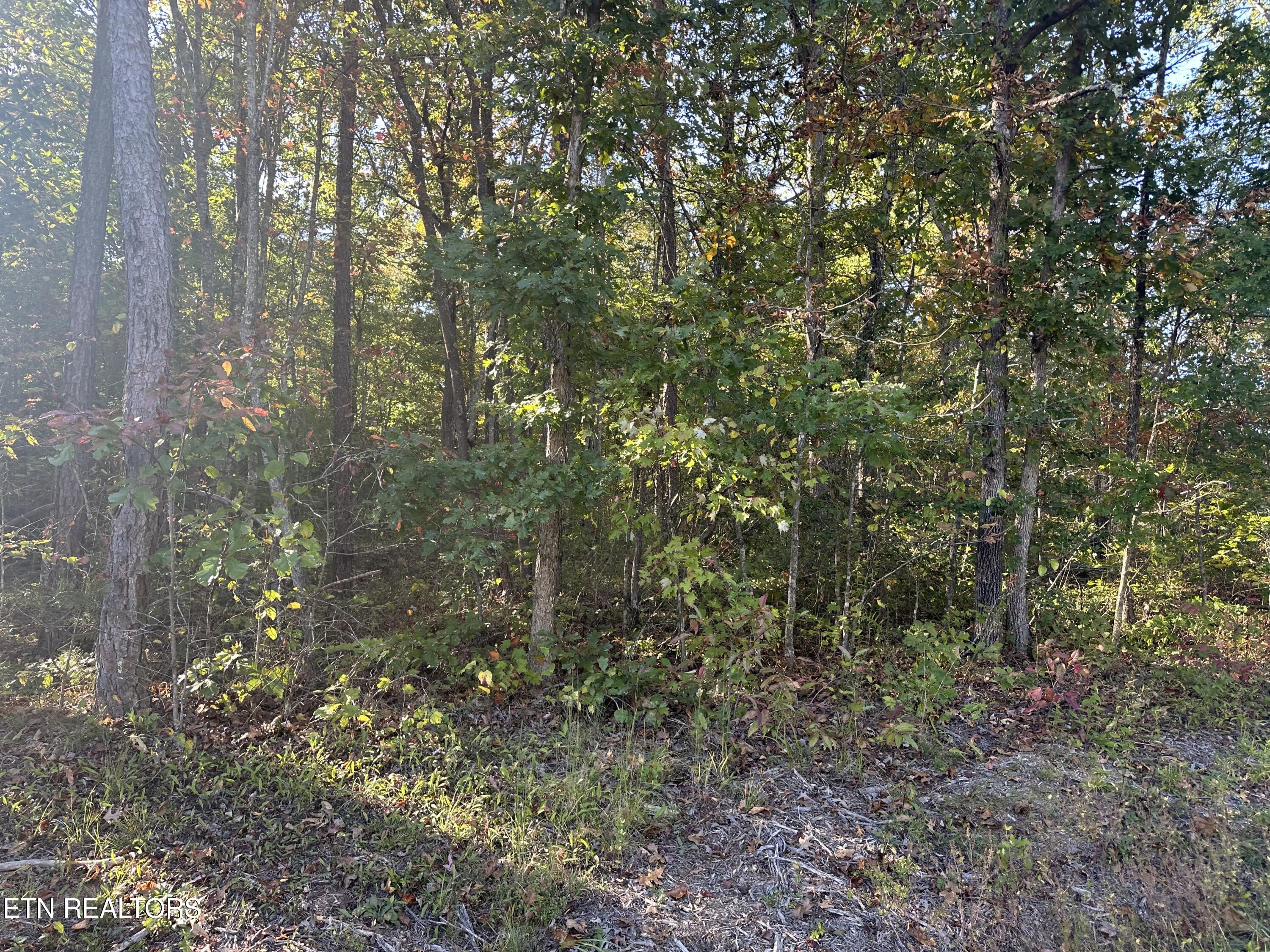 Falling Waters Property Photo 23