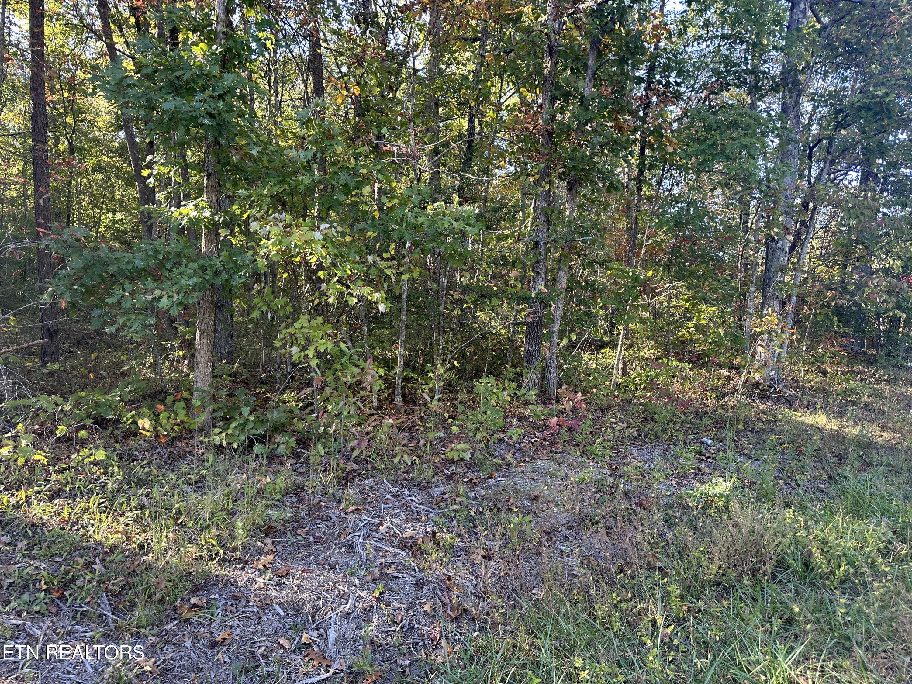 Falling Waters Property Photo 24