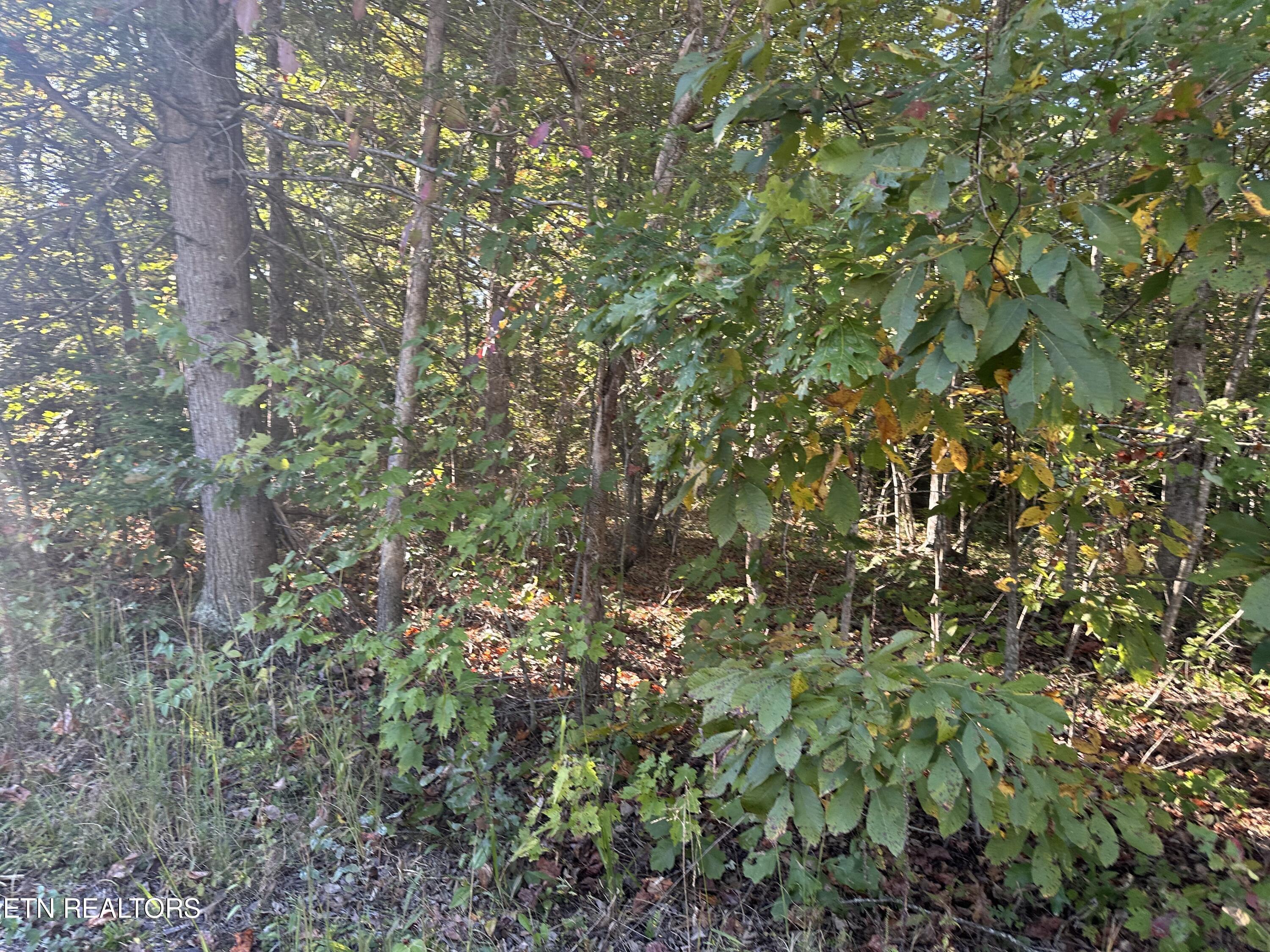 Falling Waters Property Photo 28