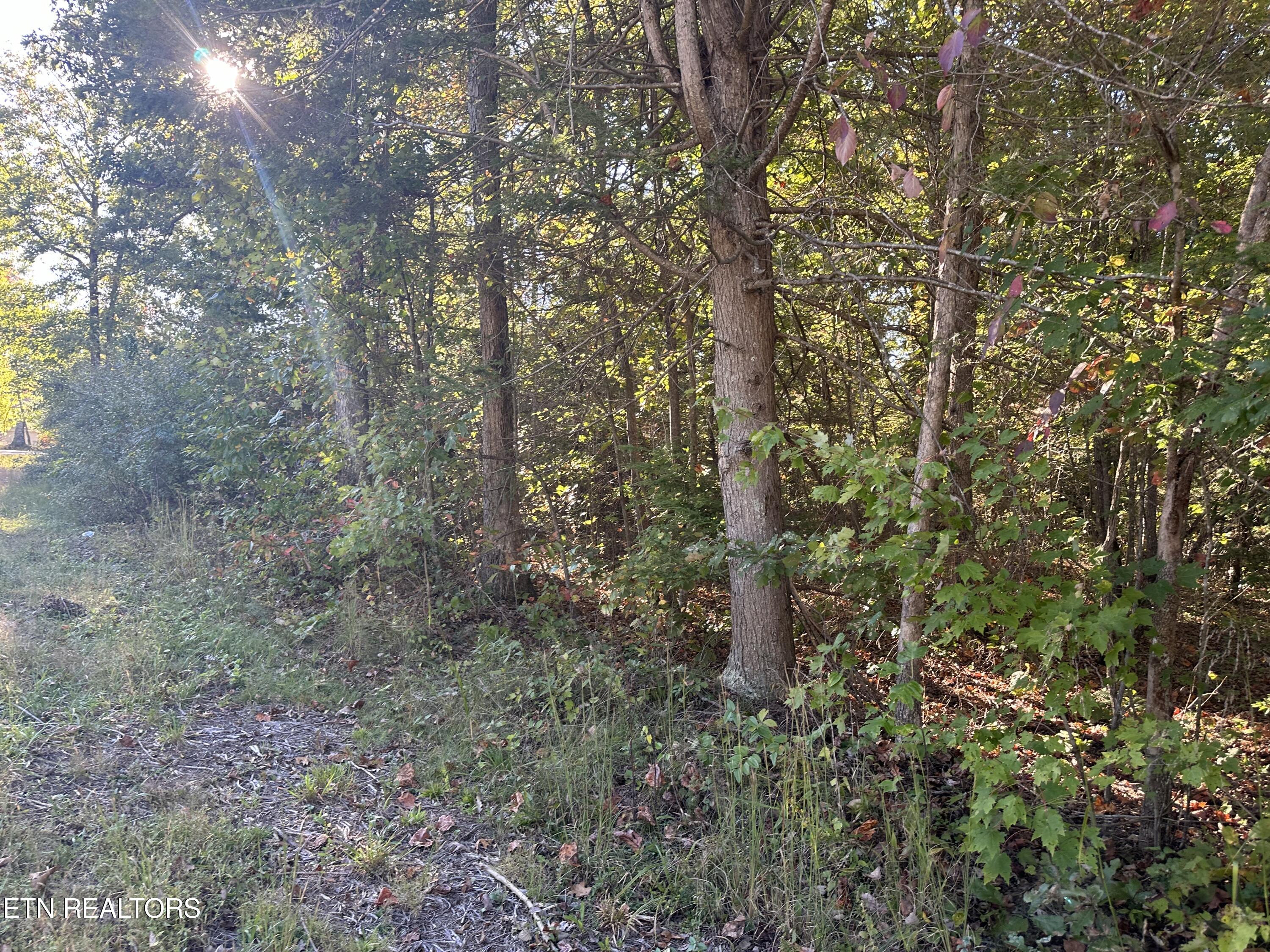 Falling Waters Property Photo 30