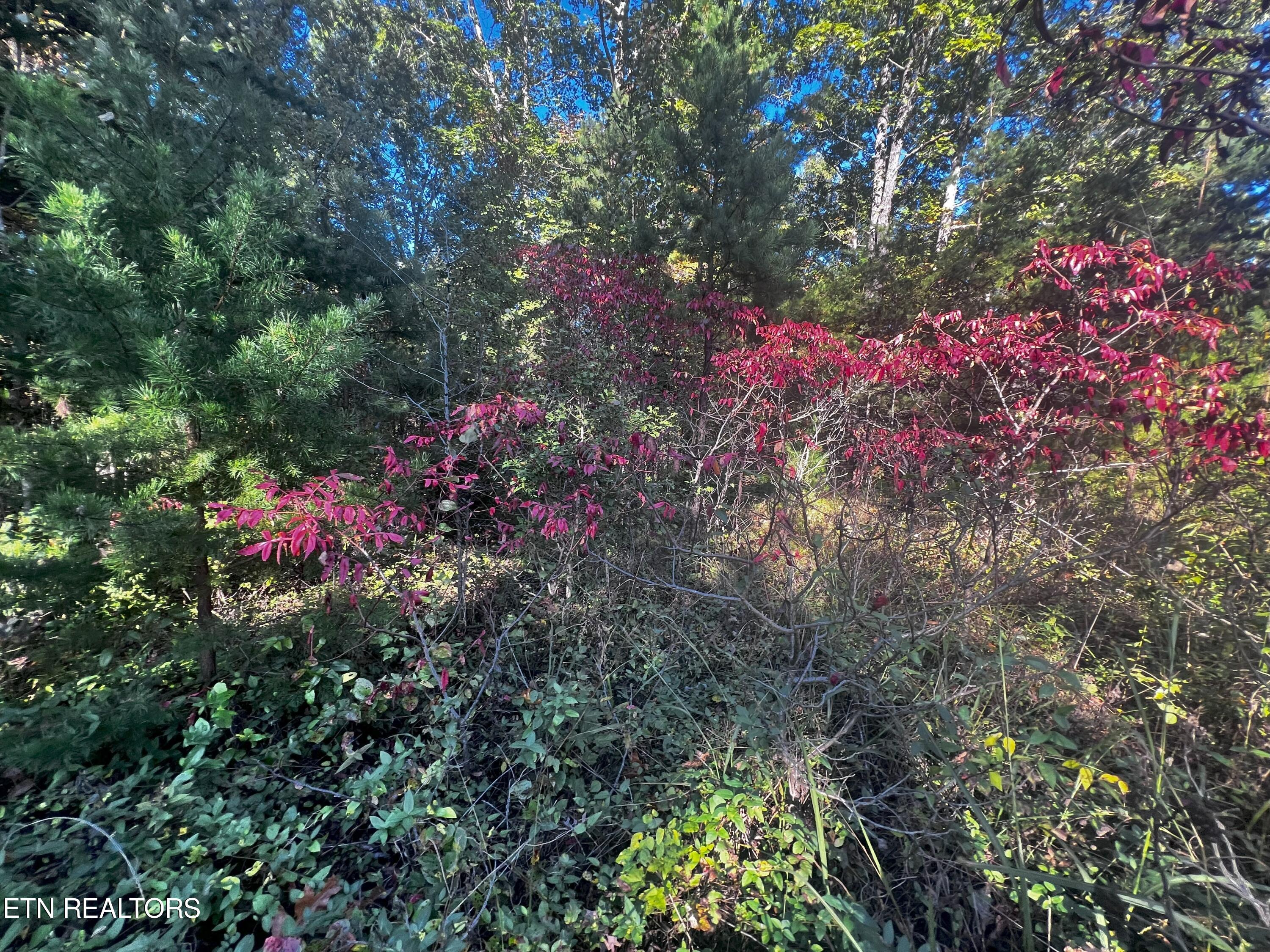 Falling Waters Property Photo 31