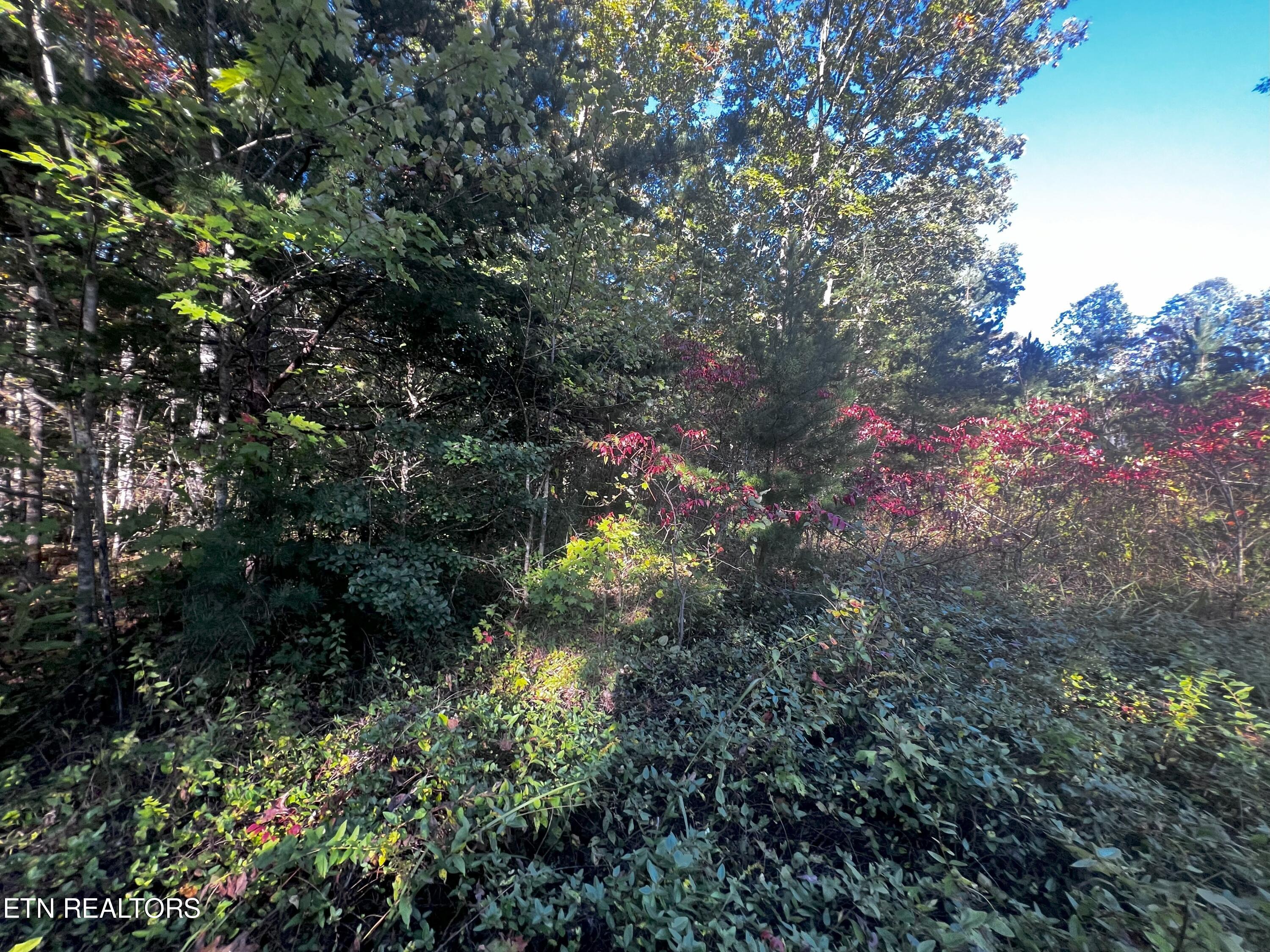 Falling Waters Property Photo 32