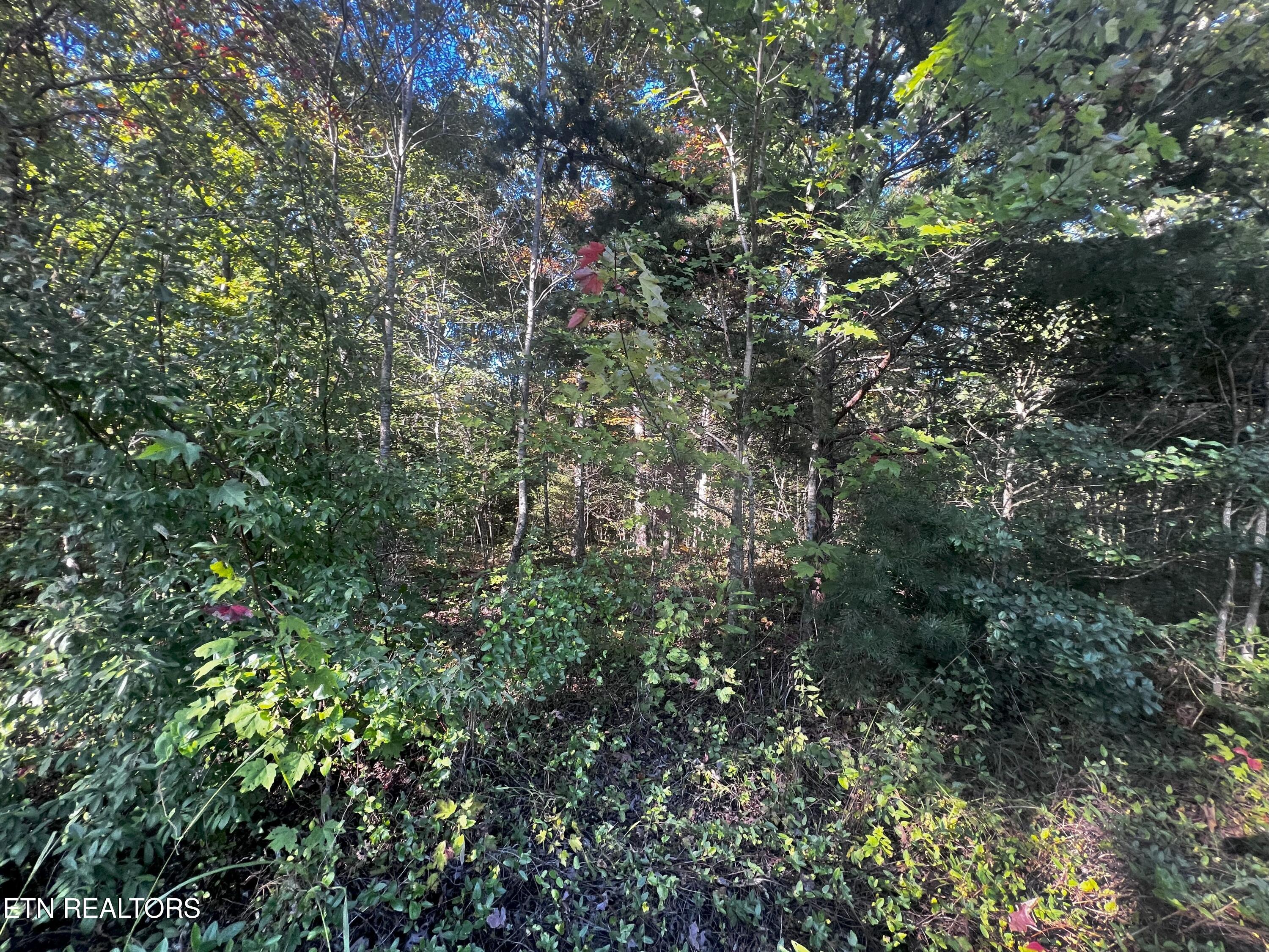Falling Waters Property Photo 33