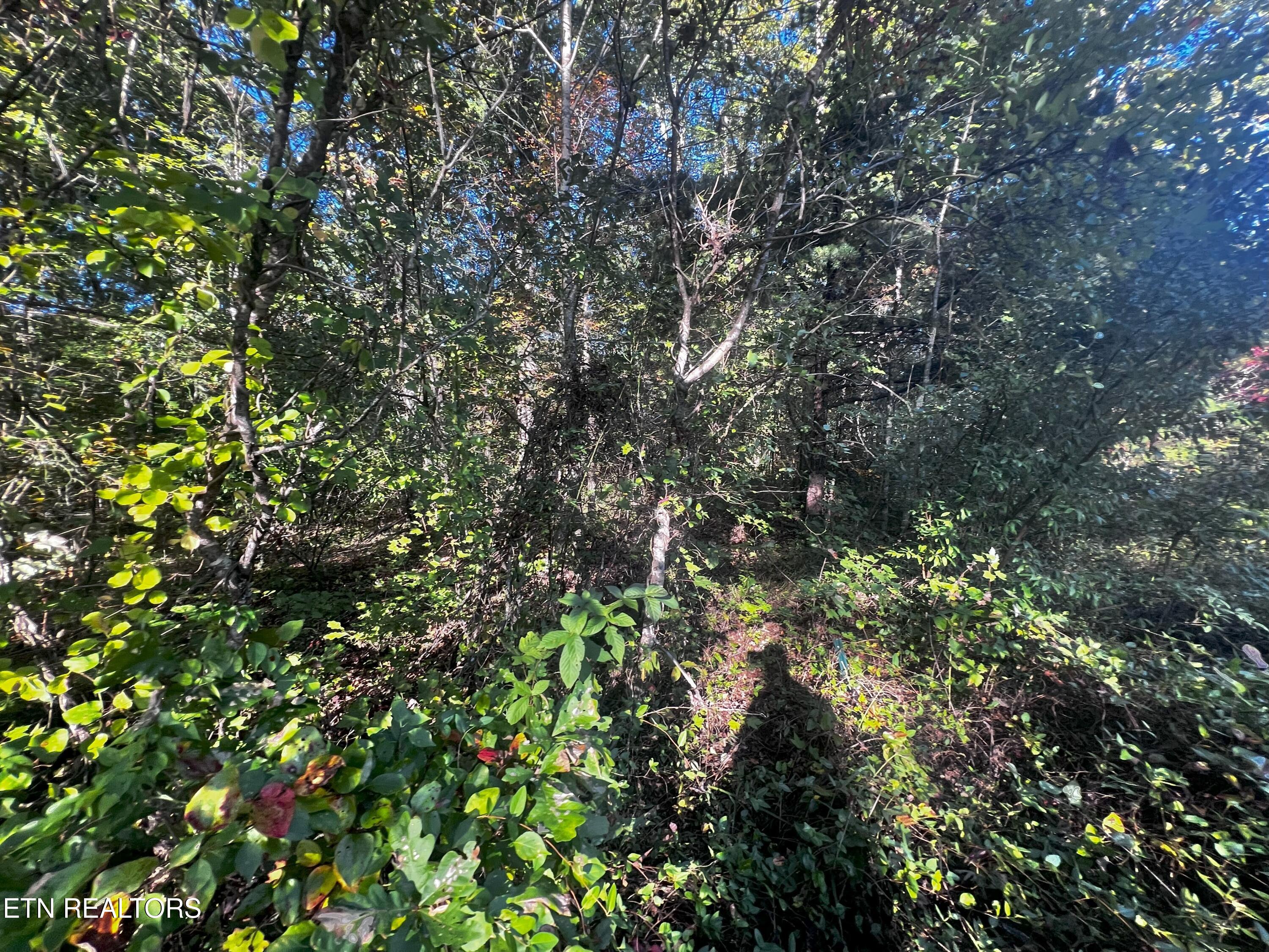 Falling Waters Property Photo 34