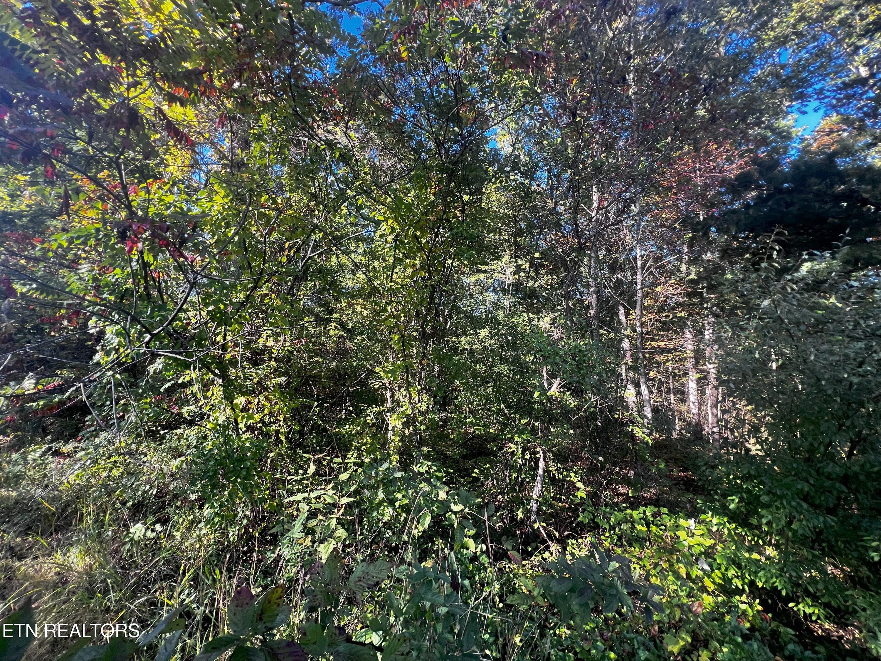 Falling Waters Property Photo 35