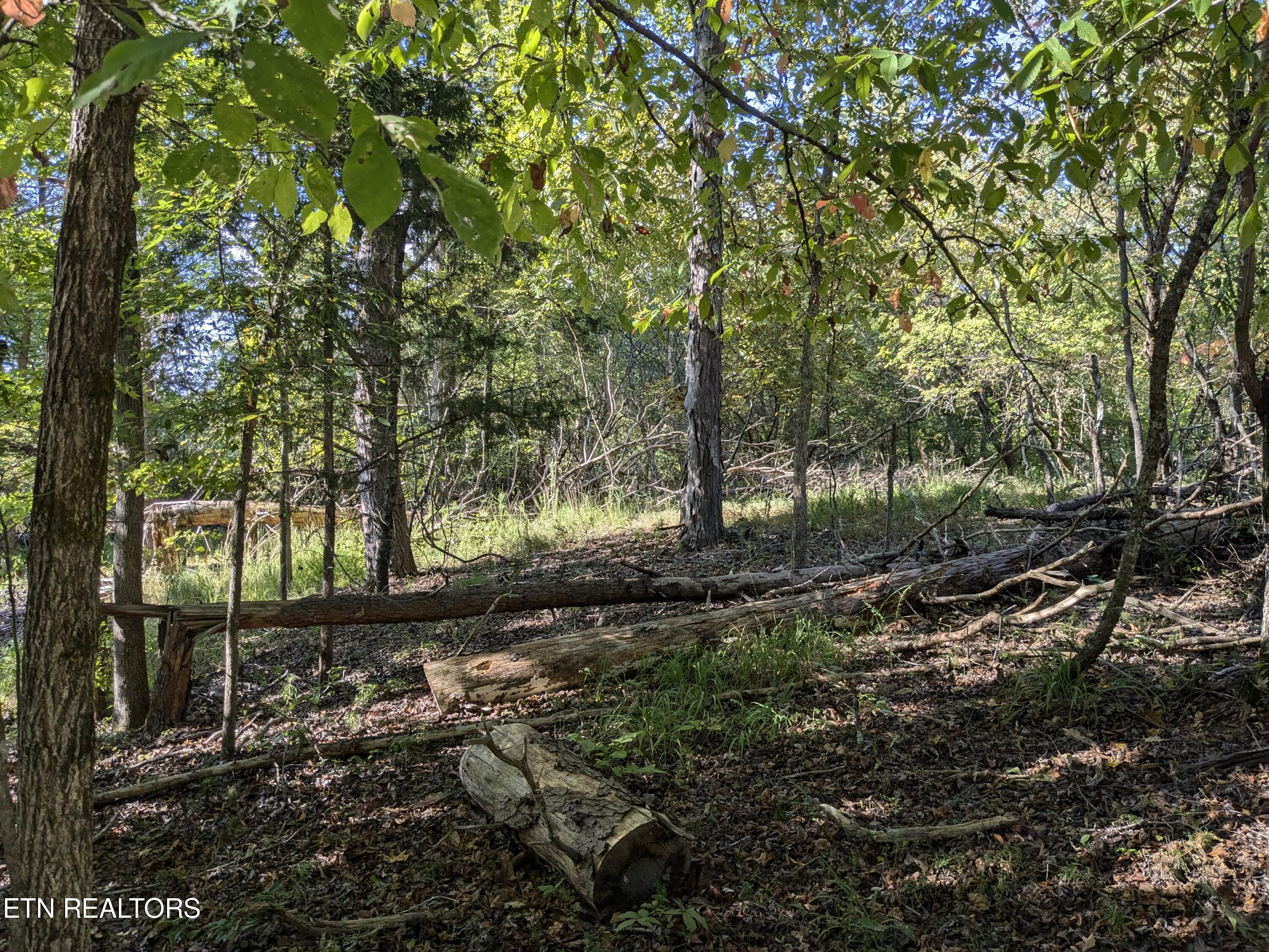 0 Cherokee Circle Property Photo