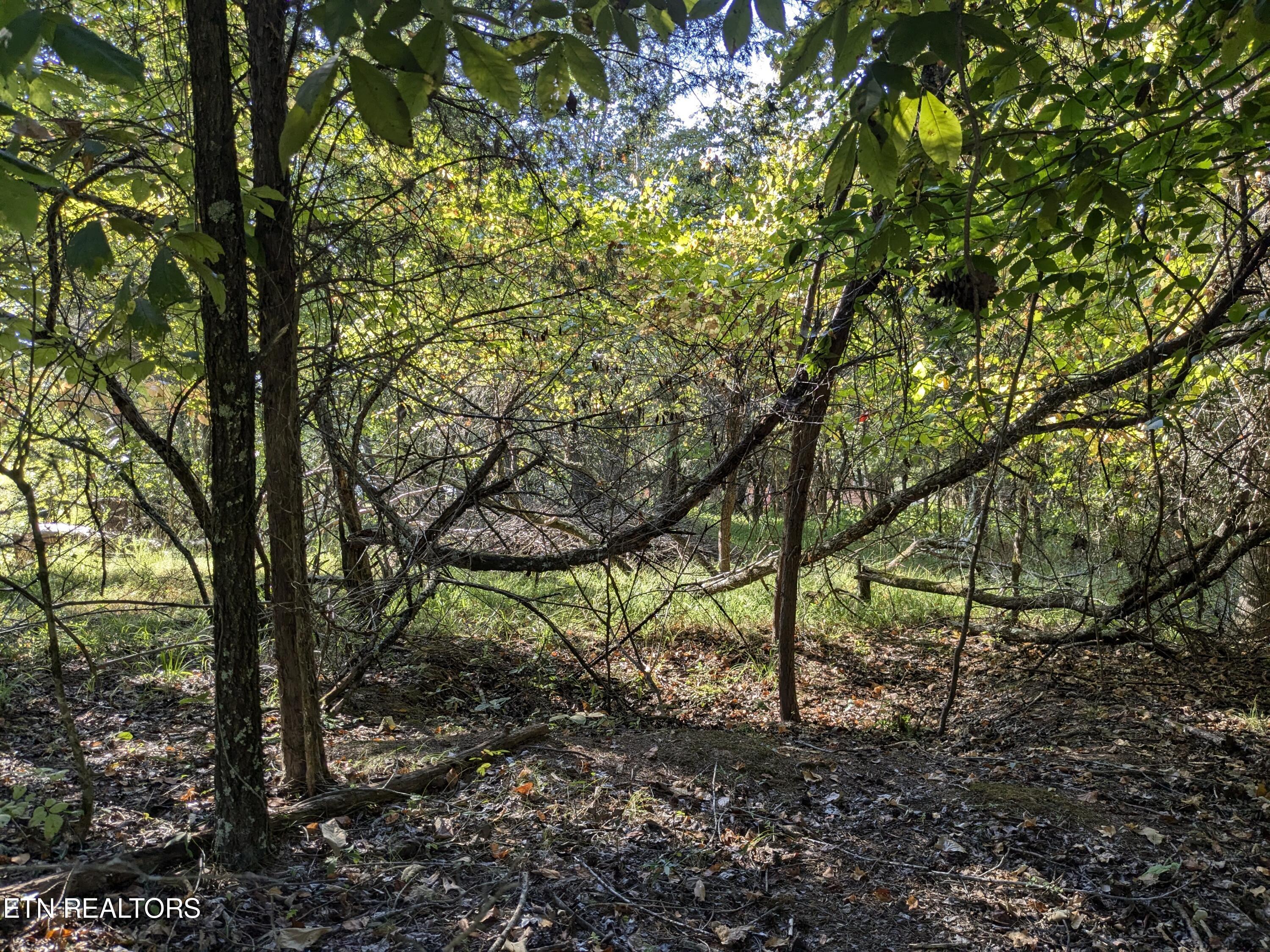 0 Cherokee Circle Property Photo 2