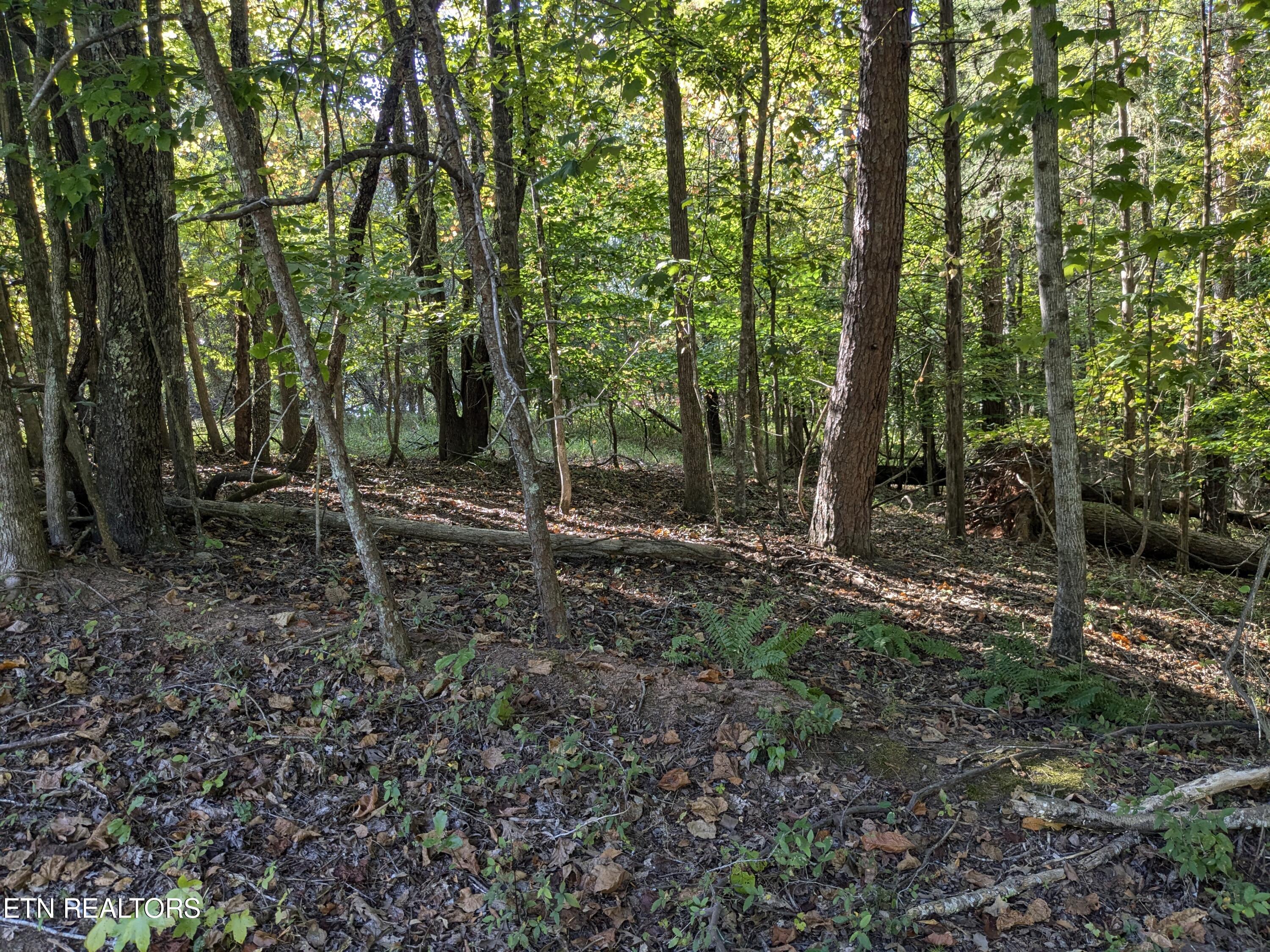 0 Cherokee Circle Property Photo 3