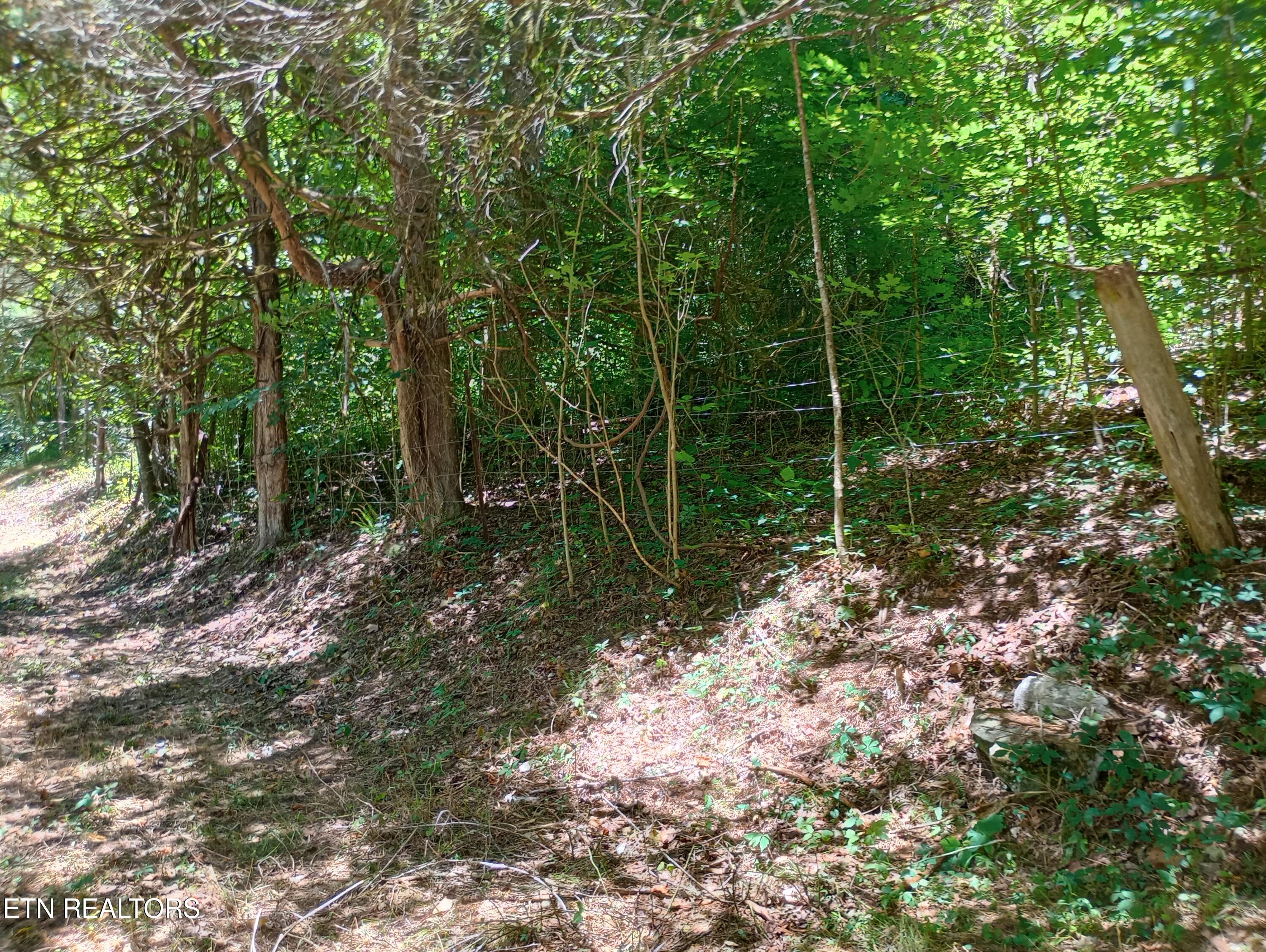 2604 Fourmile Property Photo 2