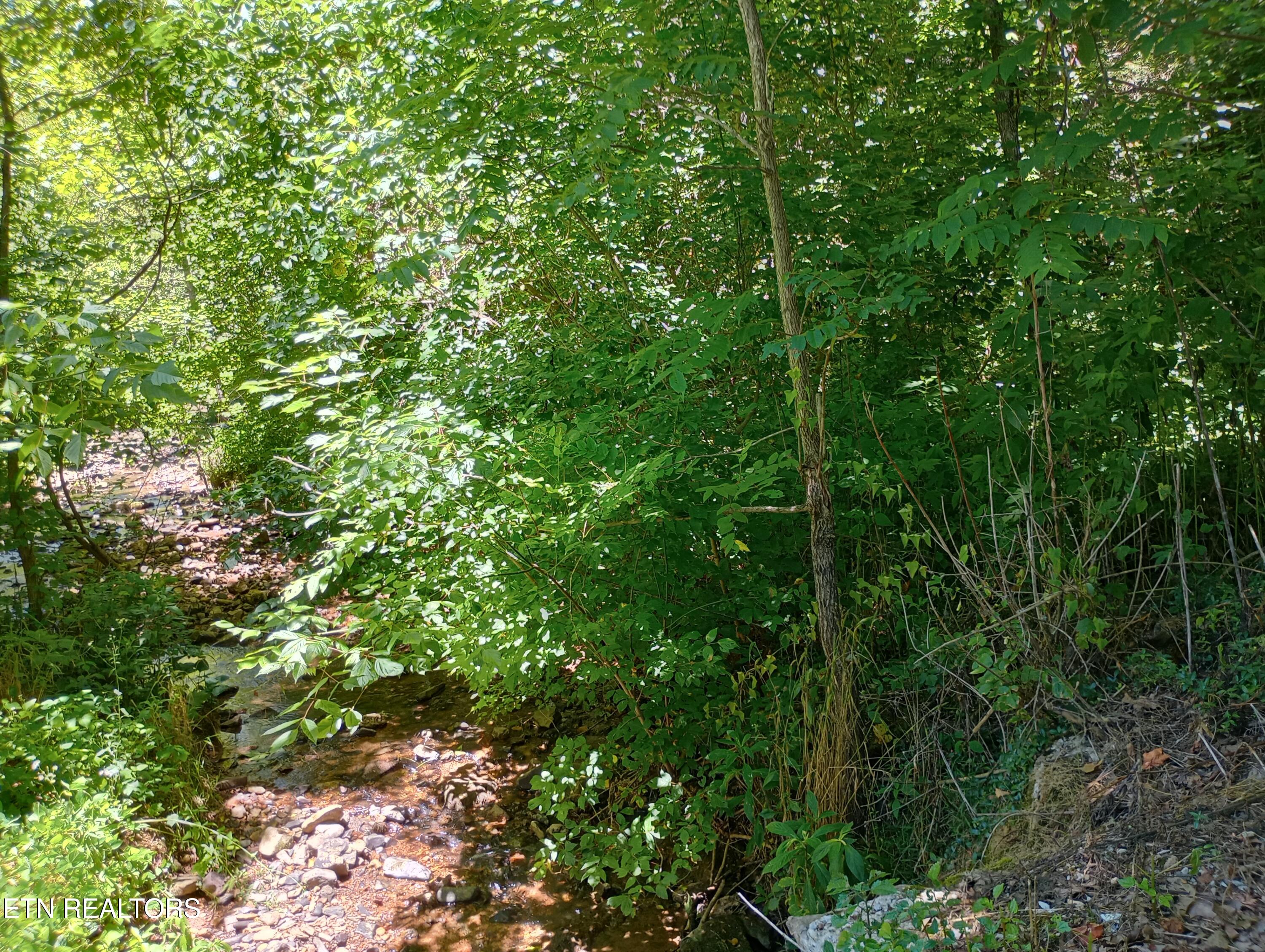 2604 Fourmile Property Photo 3