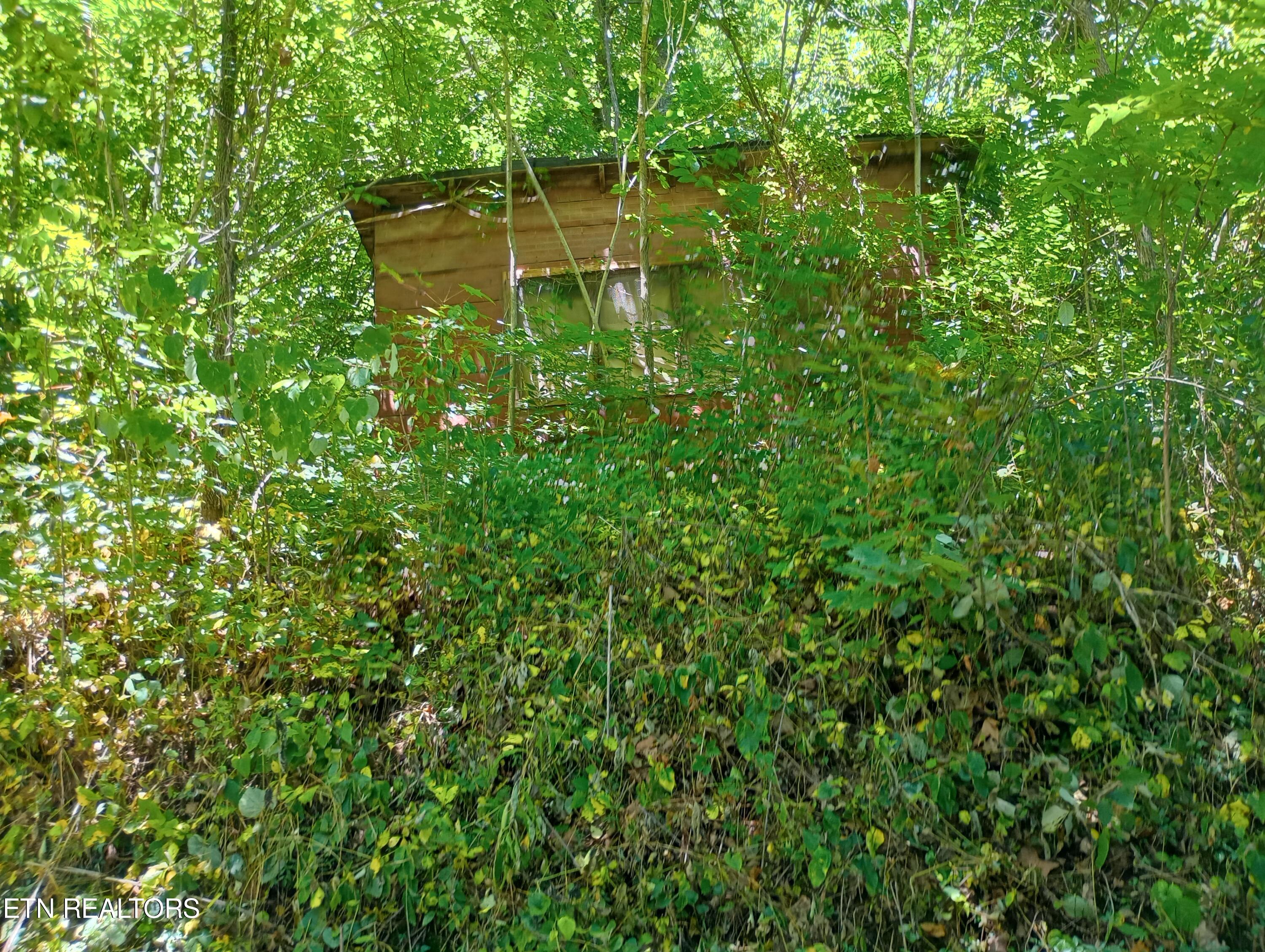 2604 Fourmile Property Photo 4