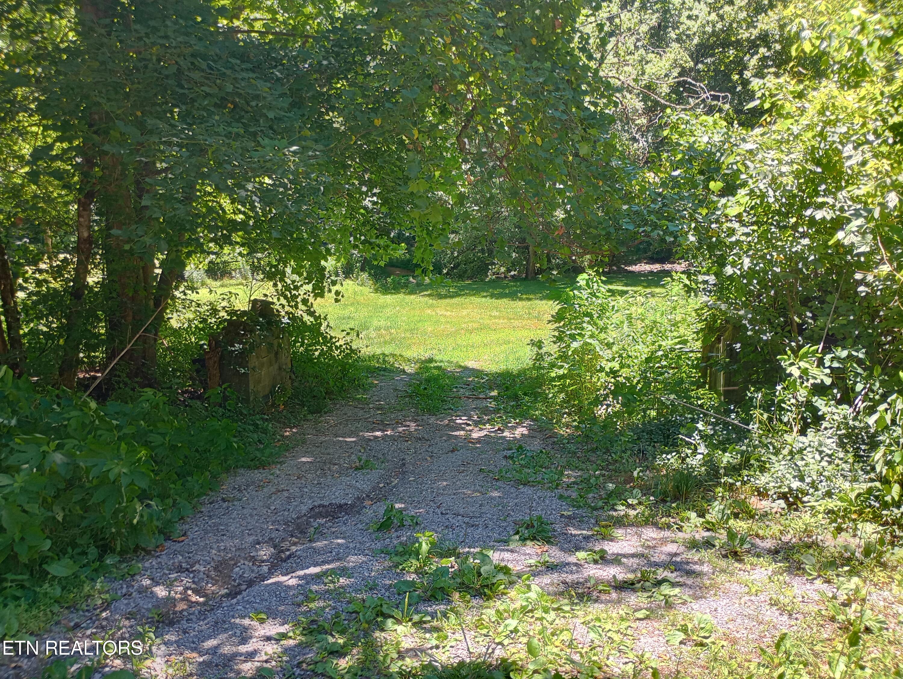 2604 Fourmile Property Photo 9