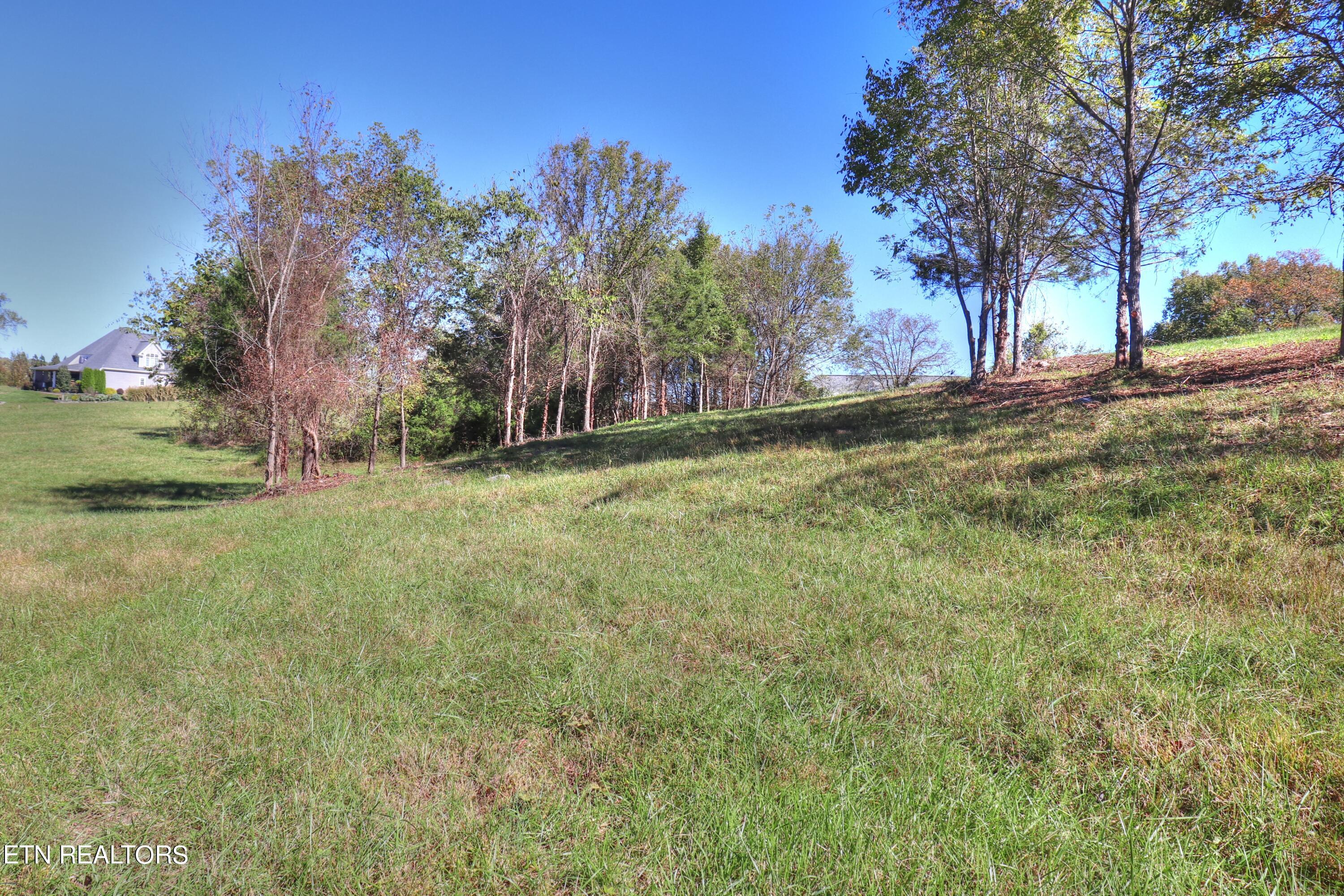 Lot 567 Russell Brothers Rd Property Photo 2
