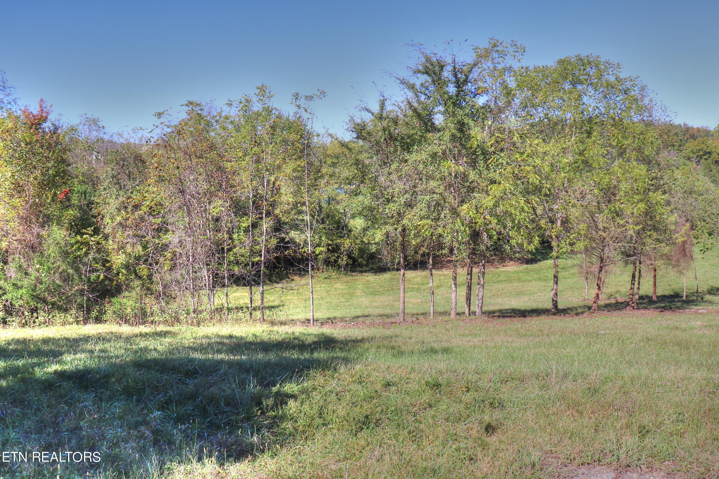 Lot 567 Russell Brothers Rd Property Photo 5