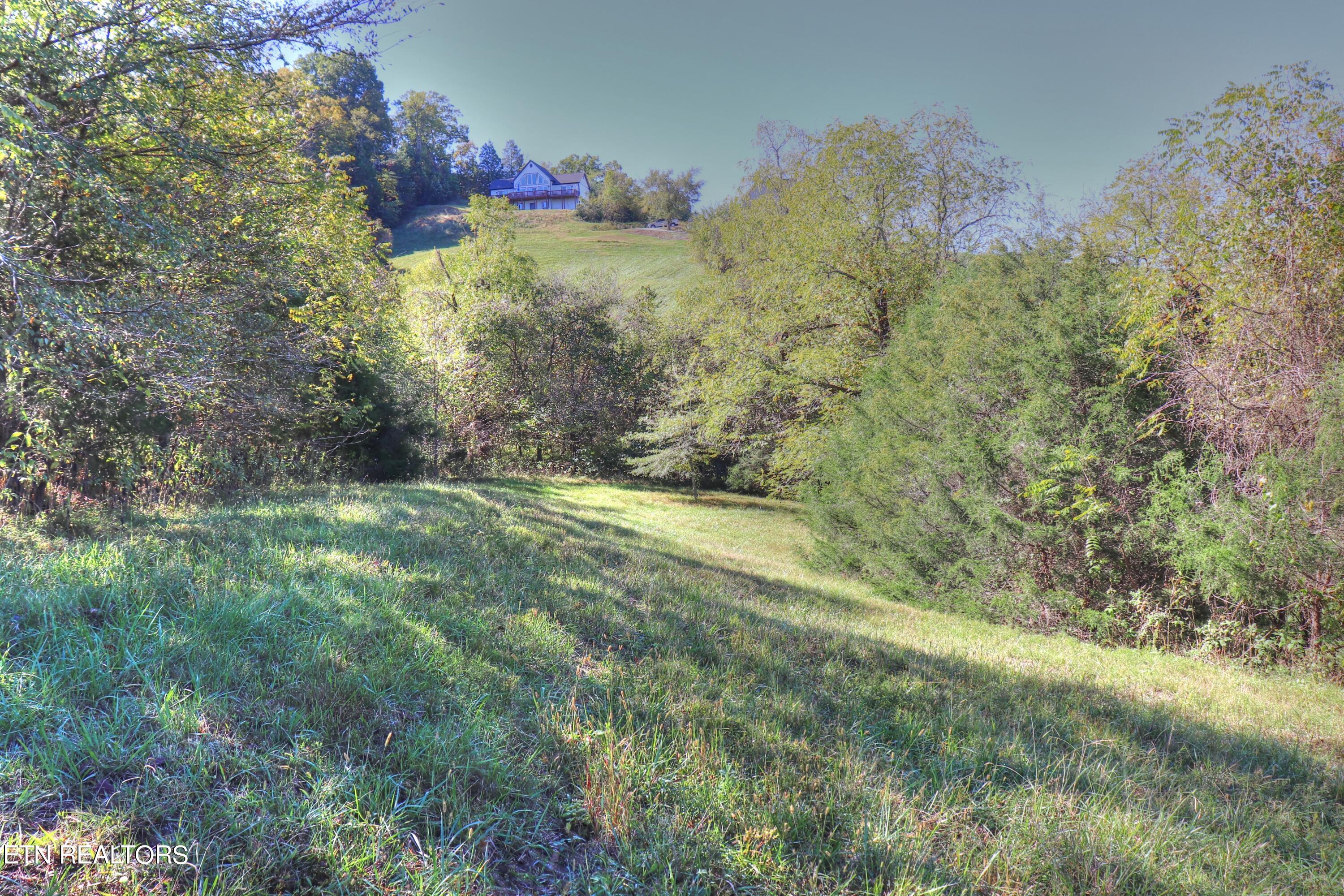 Lot 567 Russell Brothers Rd Property Photo 13
