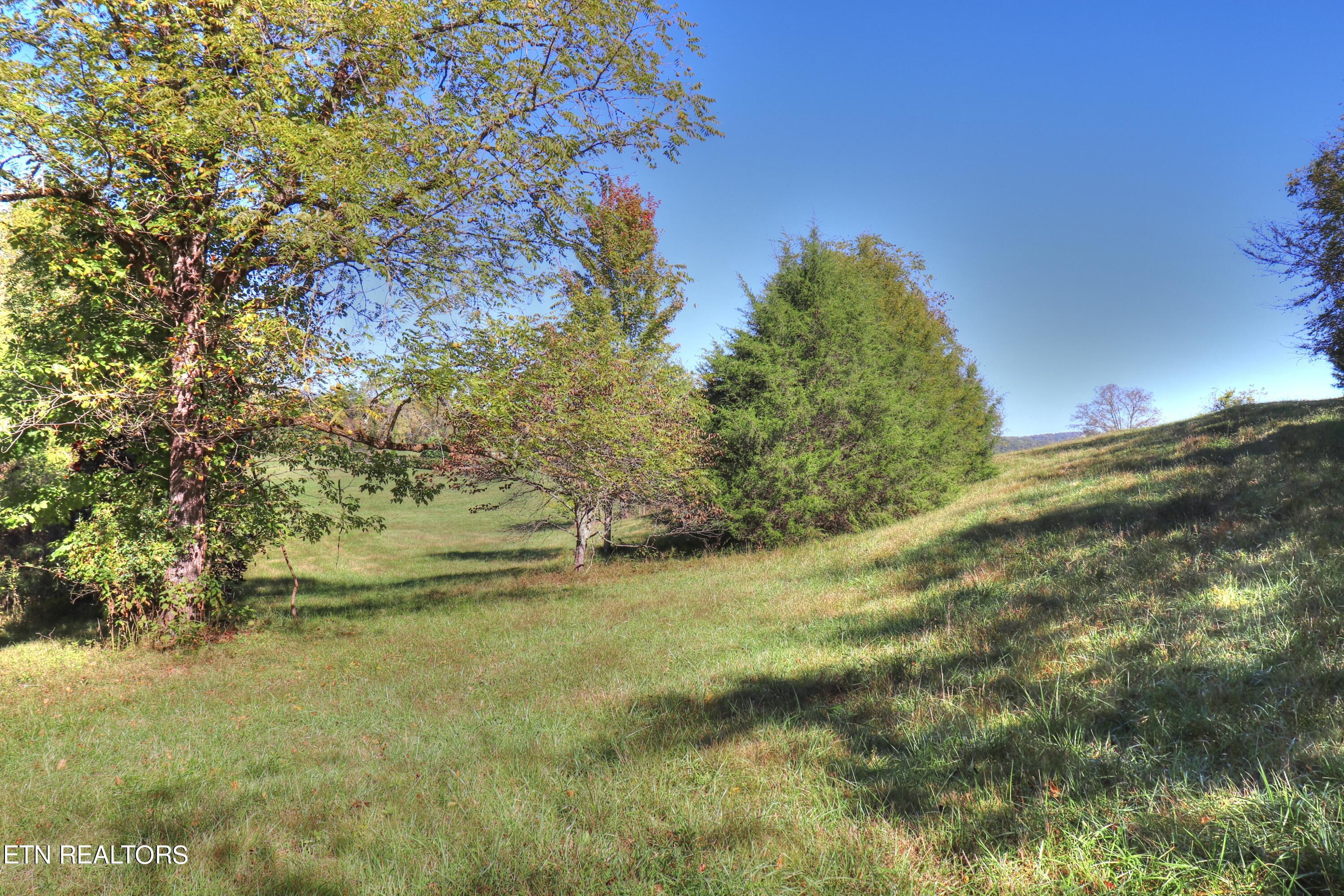 Lot 567 Russell Brothers Rd Property Photo 14