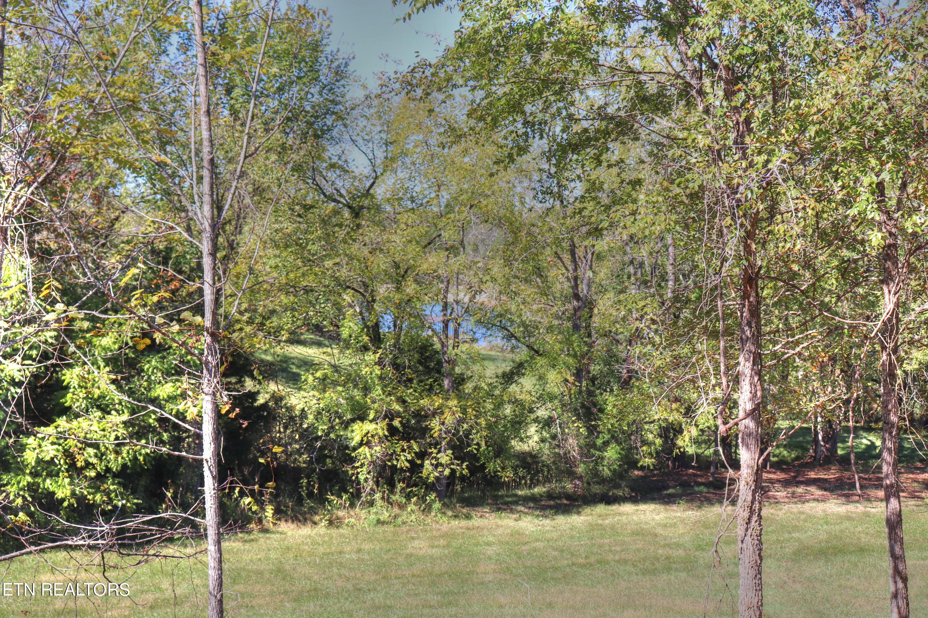 Lot 567 Russell Brothers Rd Property Photo 17
