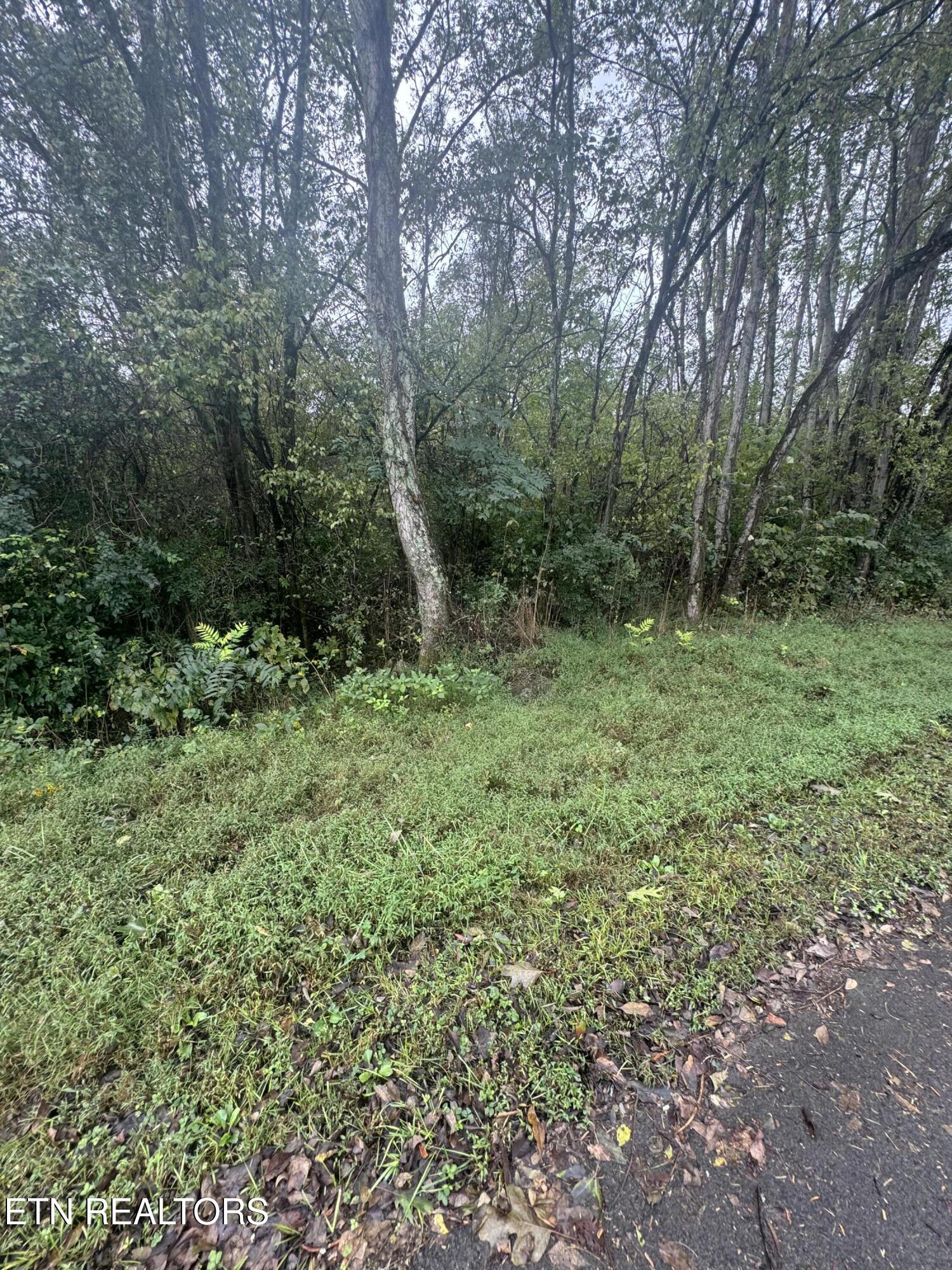 Rushy Springs Rd Property Photo