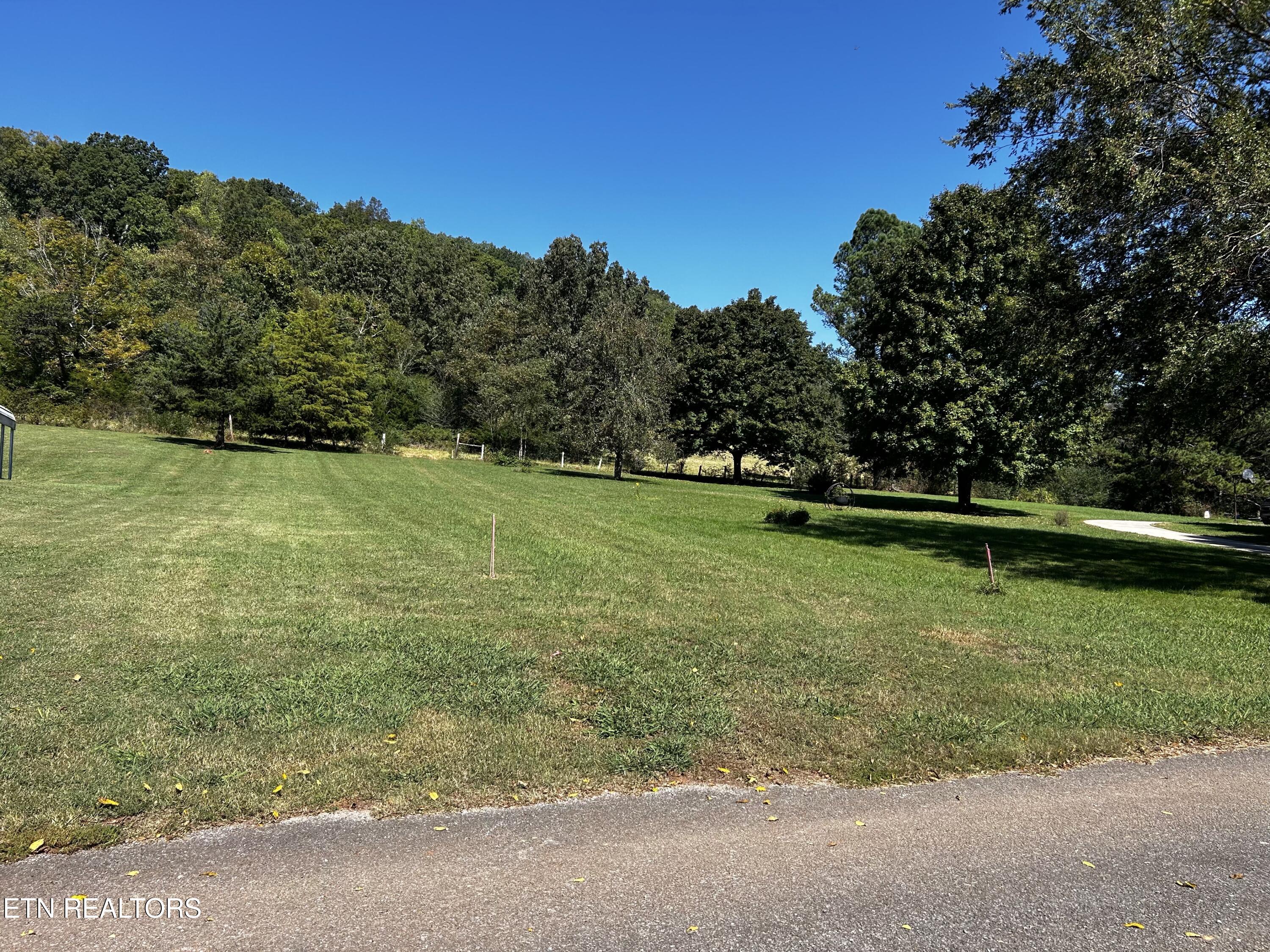Tract 1&2 Ogle Drive Property Photo 1
