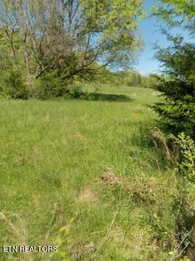 Tract 1&2 Ogle Drive Property Photo 2