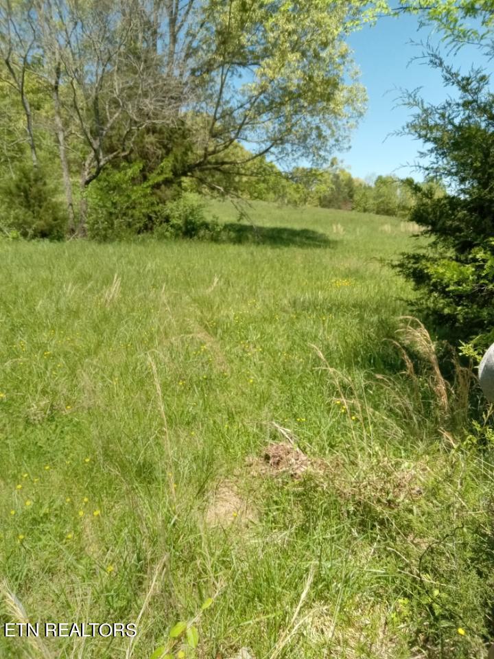 Tract 1&2 Ogle Drive Property Photo 3