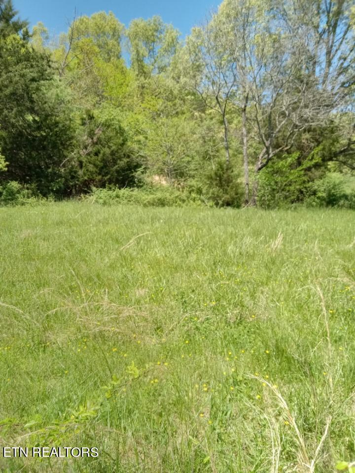 Tract 1&2 Ogle Drive Property Photo 4