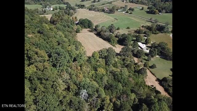 Tract 1&2 Ogle Drive Property Photo 5
