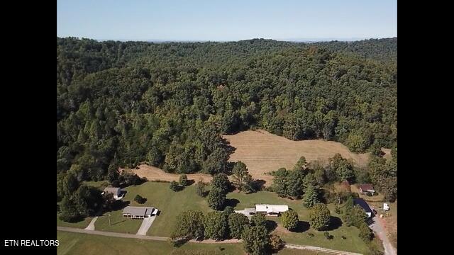 Tract 1&2 Ogle Drive Property Photo 6