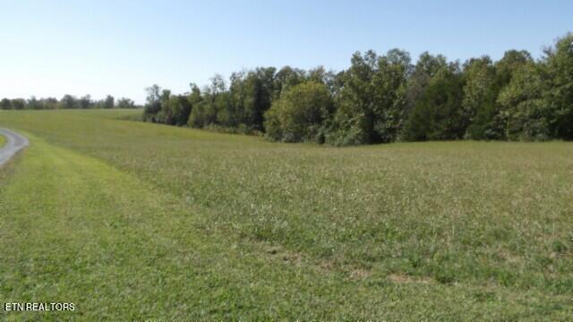 Lot 1 Allen Bend Rd Property Photo 5