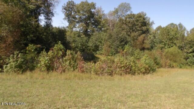 Lot 1 Allen Bend Rd Property Photo 12