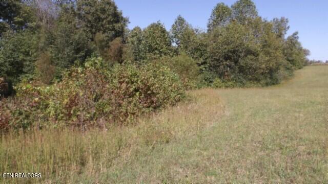 Lot 1 Allen Bend Rd Property Photo 13