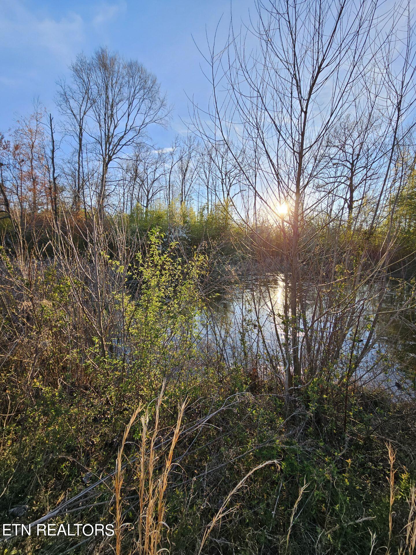 Lot 1 Allen Bend Rd Property Photo 35