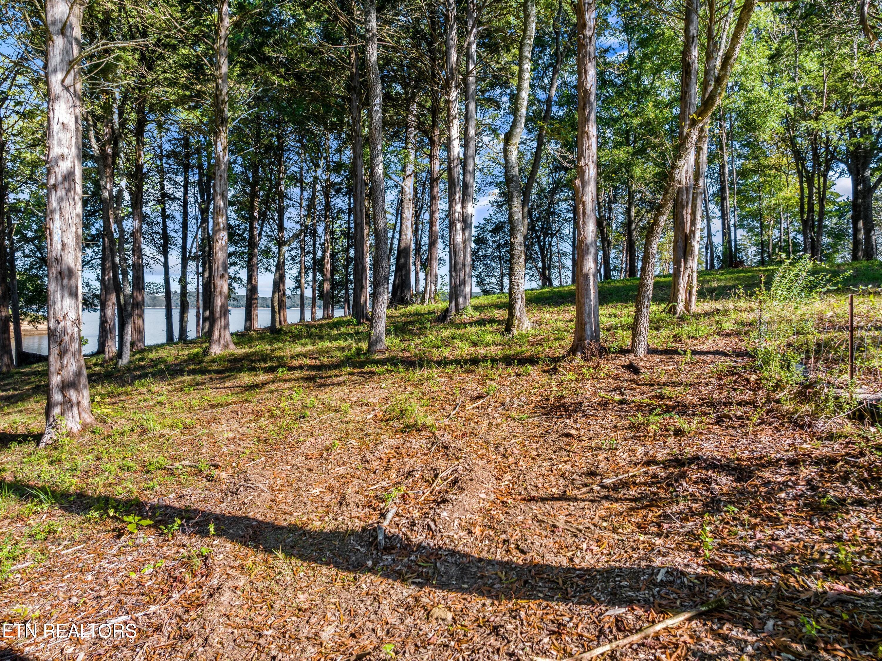 1080 Ridge Point Tr Property Photo 3