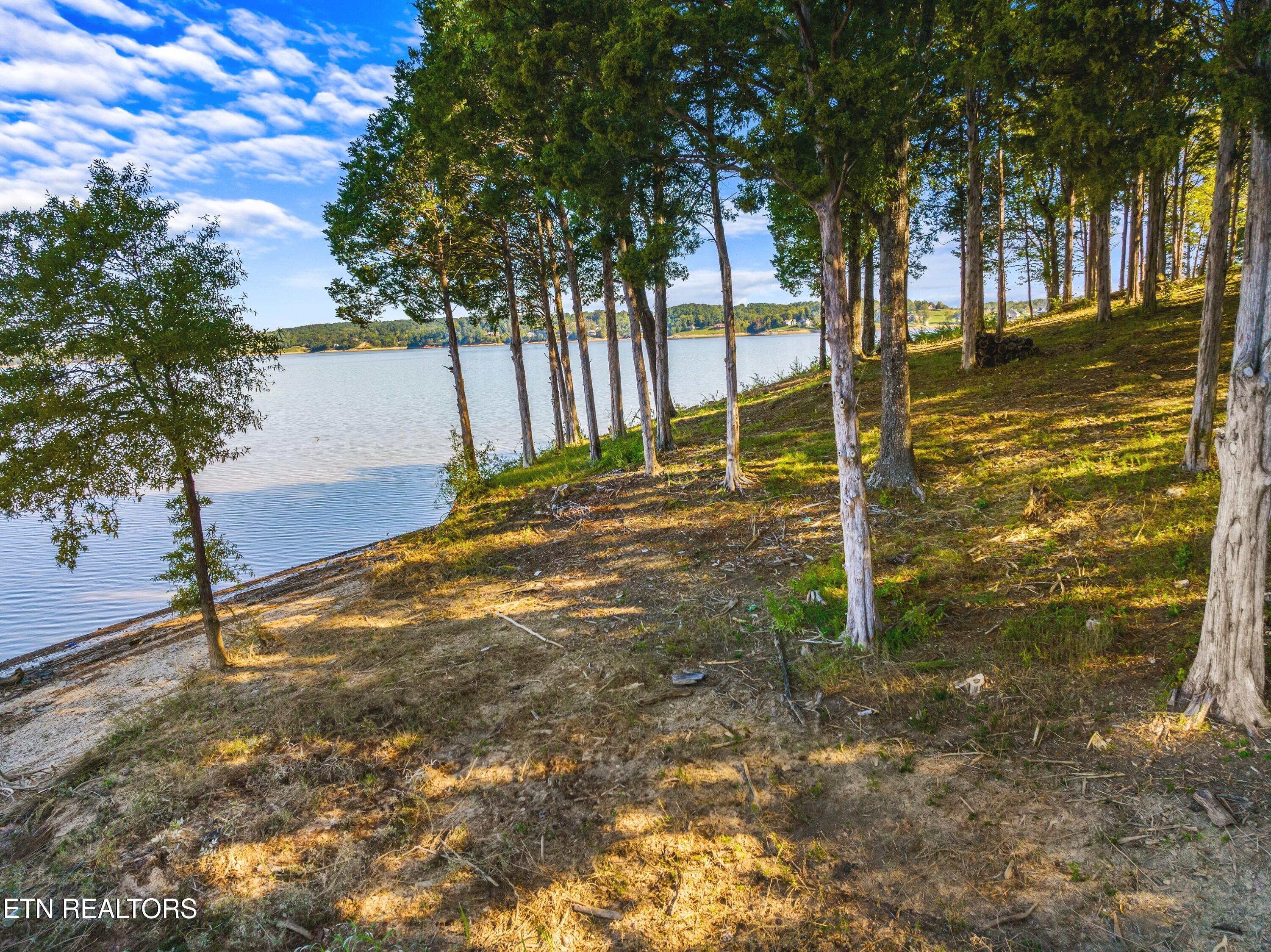 1080 Ridge Point Tr Property Photo 4