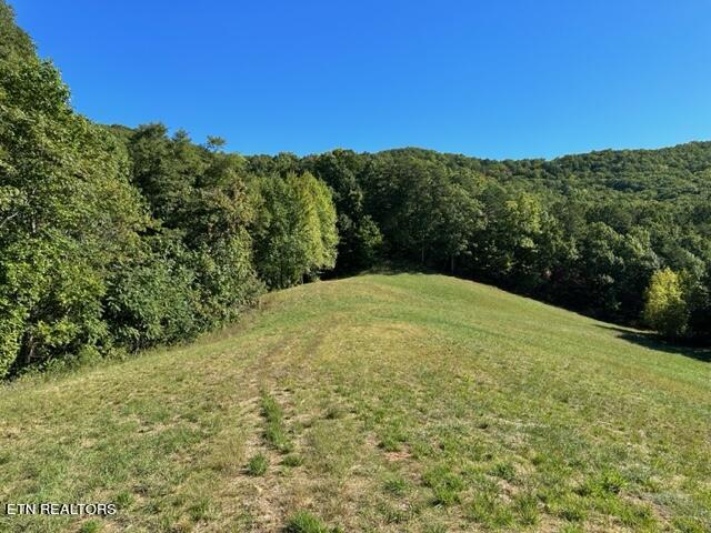 1585 Neddy Mountain Rd Property Photo 1