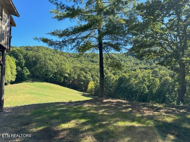 1585 Neddy Mountain Rd Property Photo 3