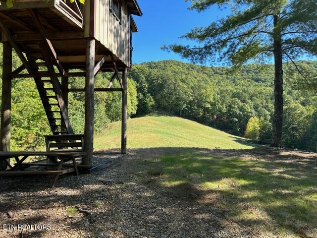 1585 Neddy Mountain Rd Property Photo 6