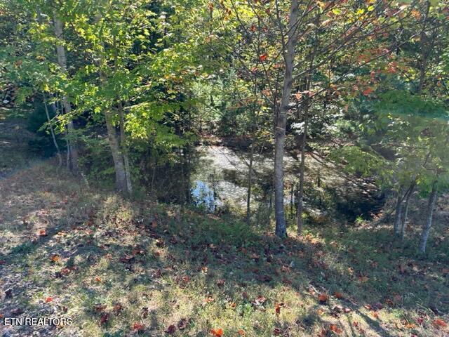 1585 Neddy Mountain Rd Property Photo 7