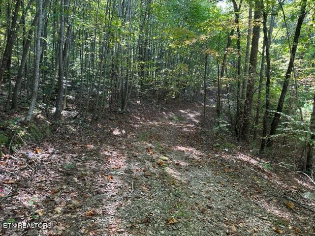 1585 Neddy Mountain Rd Property Photo 8