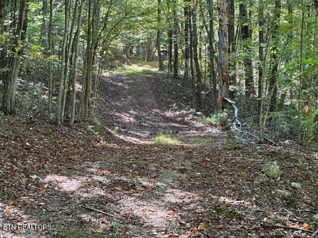 1585 Neddy Mountain Rd Property Photo 9