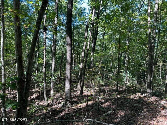 1585 Neddy Mountain Rd Property Photo 10