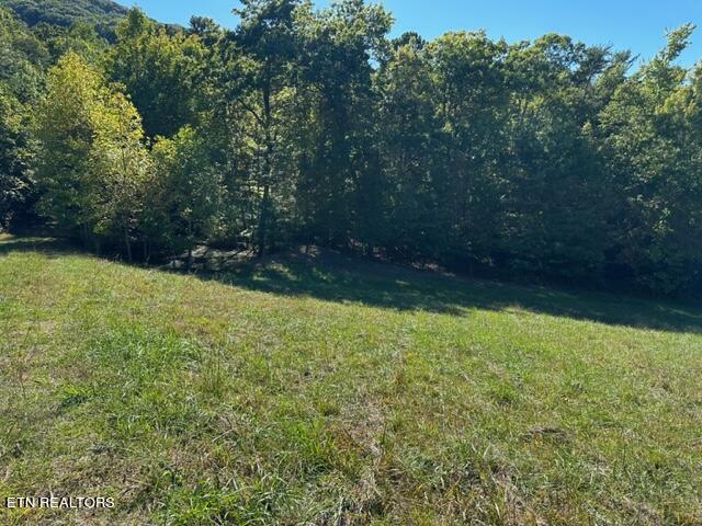 1585 Neddy Mountain Rd Property Photo 11