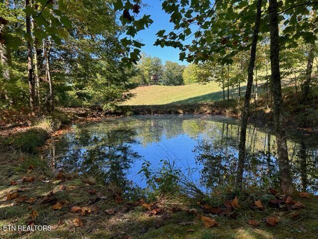 1585 Neddy Mountain Rd Property Photo 13