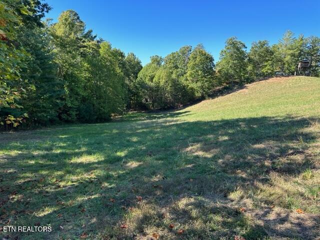 1585 Neddy Mountain Rd Property Photo 14