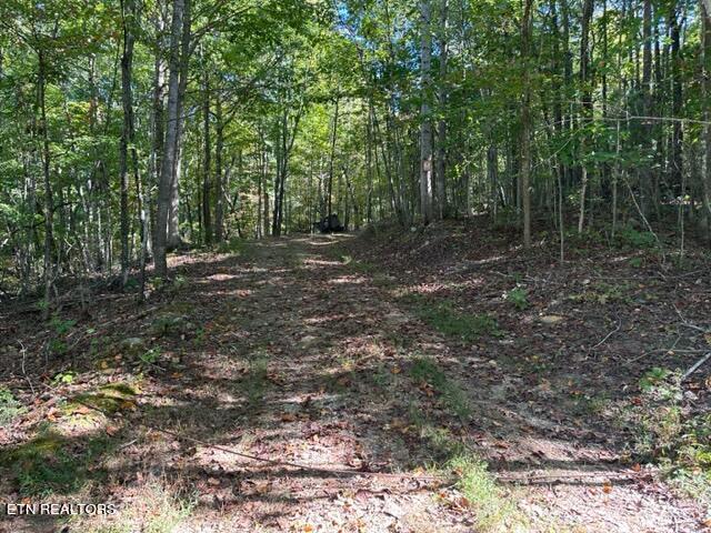 1585 Neddy Mountain Rd Property Photo 15