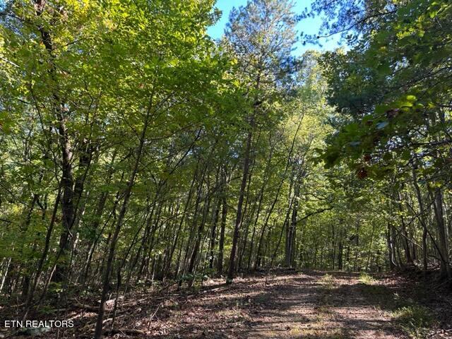 1585 Neddy Mountain Rd Property Photo 17