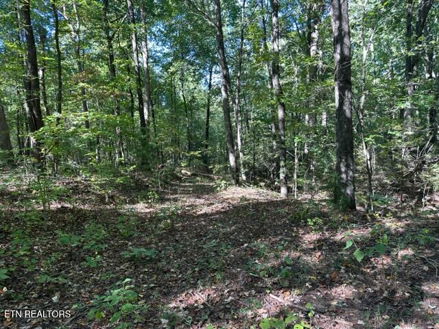 1585 Neddy Mountain Rd Property Photo 18