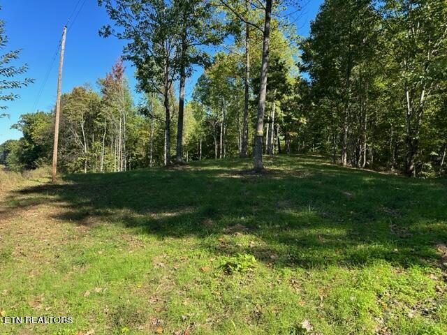 1585 Neddy Mountain Rd Property Photo 20